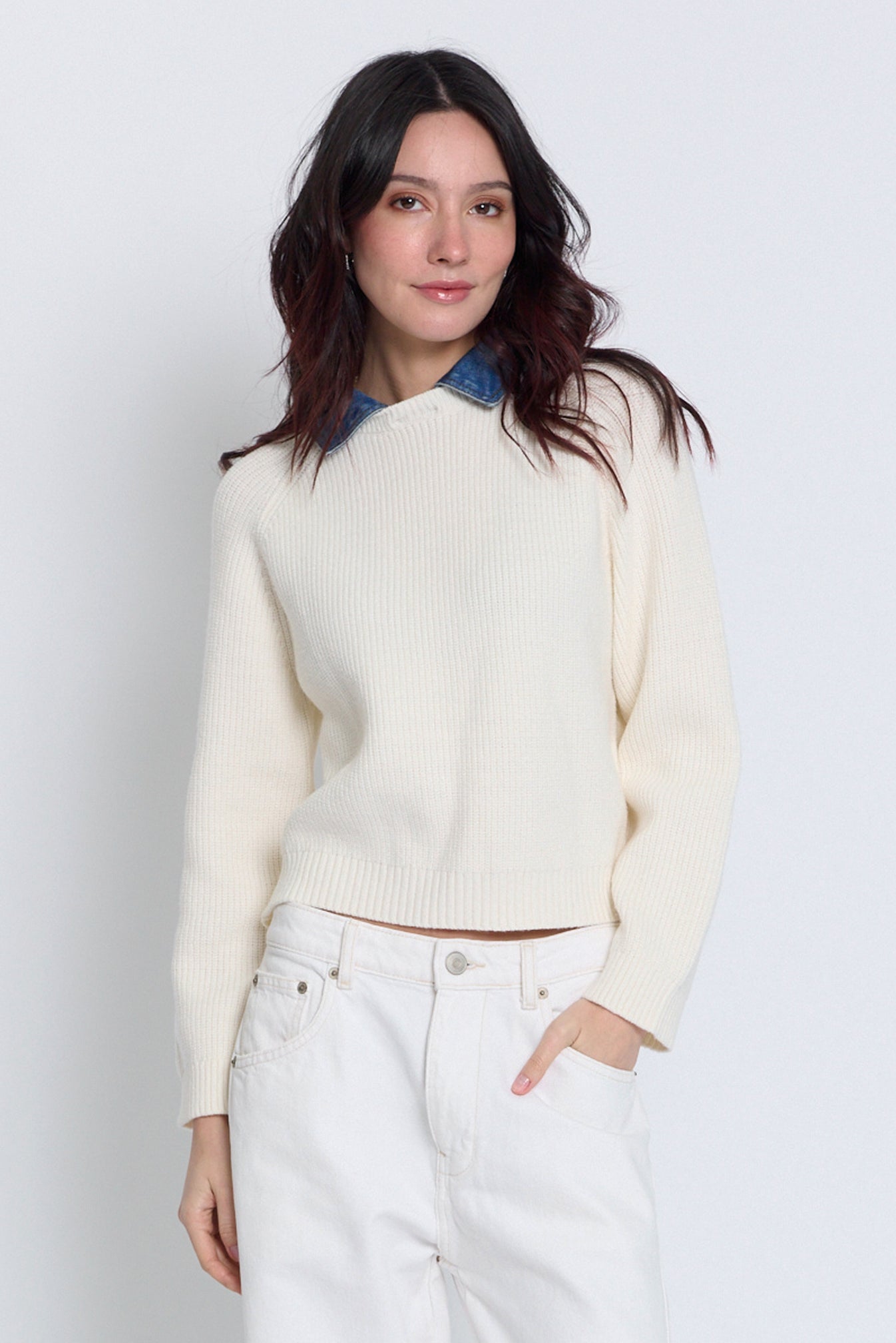 Dash Denim Collar Sweater